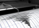 Breaking News: Tolitoli Sulteng Diguncang Gempa, tak Berpotensi Tsunami
