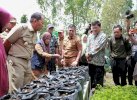 Kunjungi Lorong Wisata Sydney, Danny: Longwis Bangun Kemandirian Ekonomi Rakyat