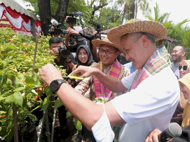 Danny-Ganjar Panen Cabai dan Ikan Nila di Lorong Wisata Sydney Panakkukang