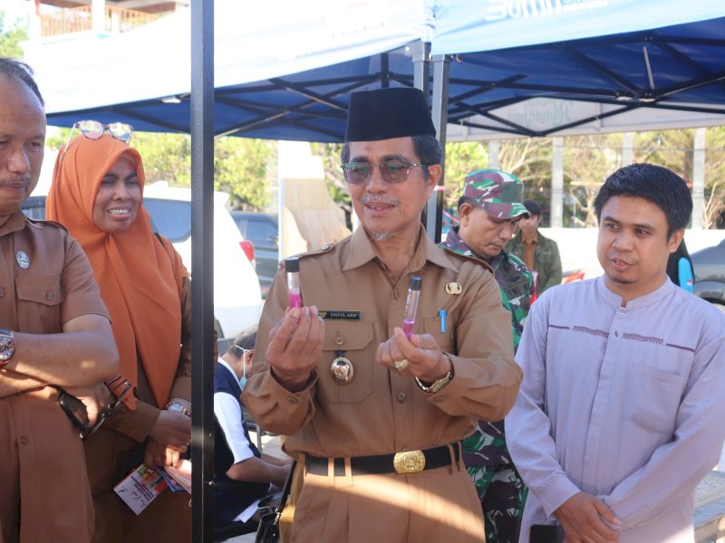 Wakil Bupati Saiful Arif/ist