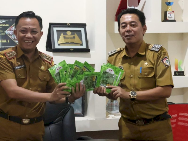 Dinas Ketahanan Pangan (DKP) kota Makassar, Alamsayah Sahabuddin mendistribusikan benih cabai ke tiga kecamatan/Ist