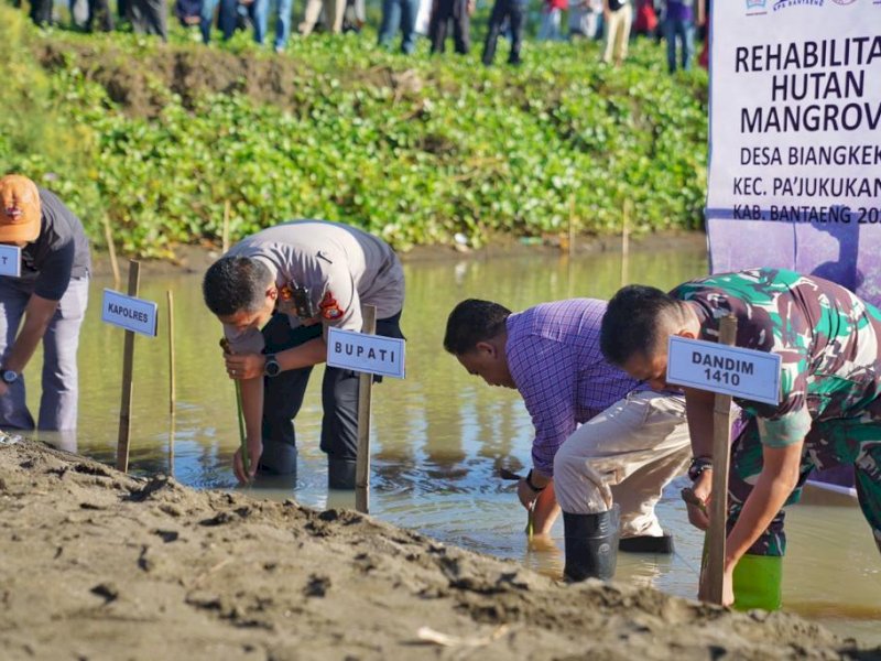 Bupati Bantaeng, Ilham Azikin turut hadir dalam gerakan reboisasi hutan bakau. (Ist)